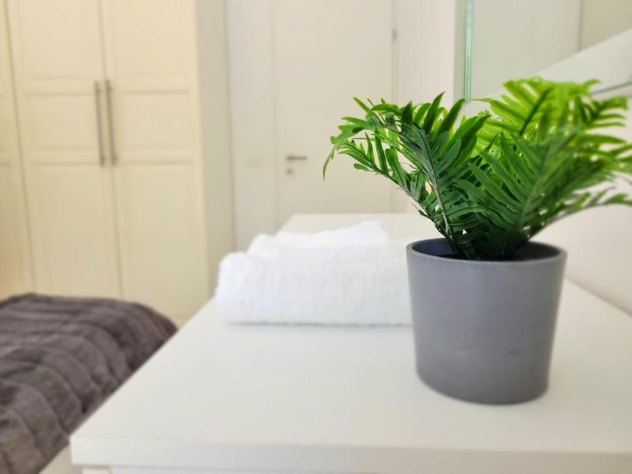 Apartment Palma - Central & Cozy With Free Private Parking Lugano Extérieur photo